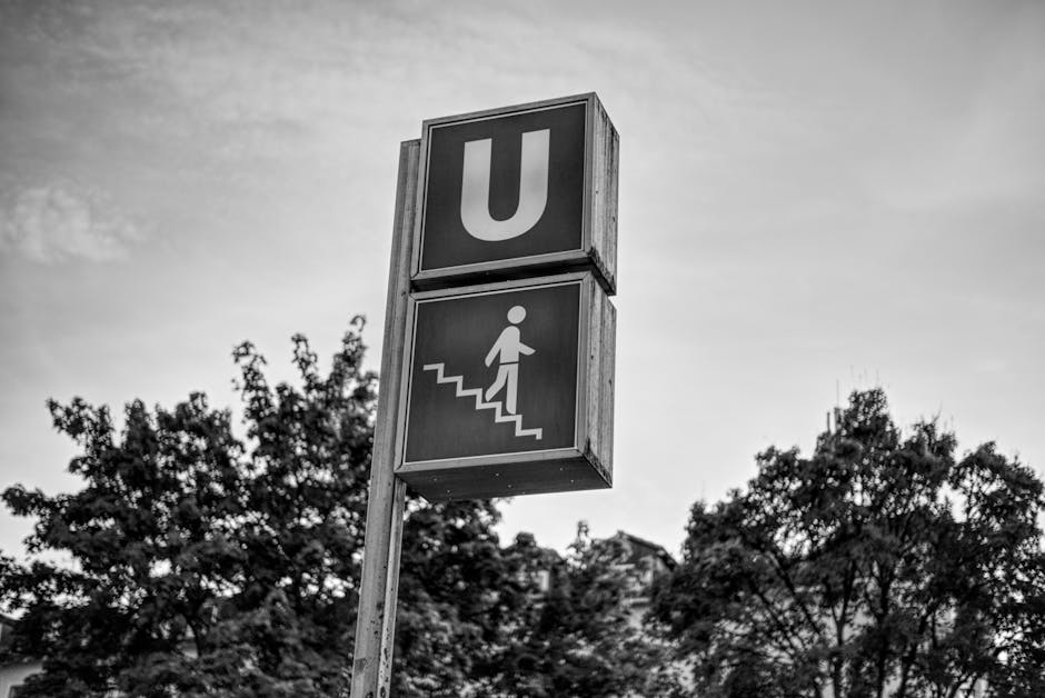 A black and white photo of a U-Bahn sign in Munich featuring trees and a clear sky.