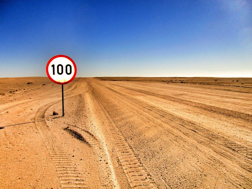 Open desert road with a speed limit sign showing 100 under clear sky.