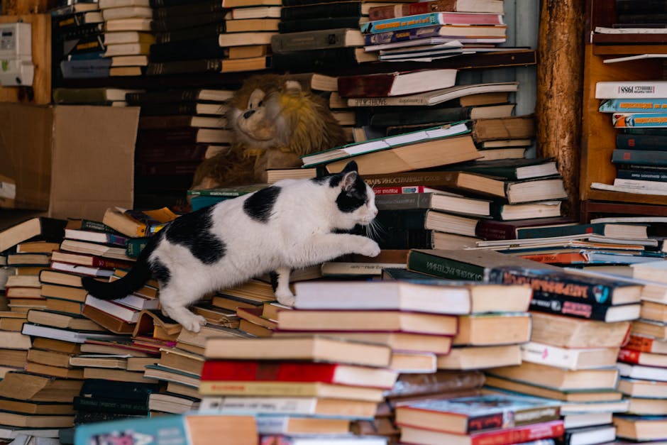 A curious black and white cat climbs stacks of books inside a cozy bookstore, conveying a sense of adventure.
