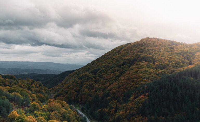 Aerial view of autumn foliage in the mountains of Брезница, Bulgaria with stunning fall colors.