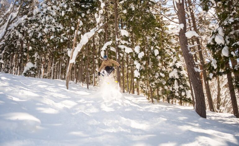 Experience the excitement of skiing through the snow-laden forests of Japan. Perfect for winter sports enthusiasts.