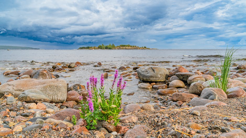 Dramatic storm clouds gather over a rocky lakeside with vibrant purple flowers in the foreground.