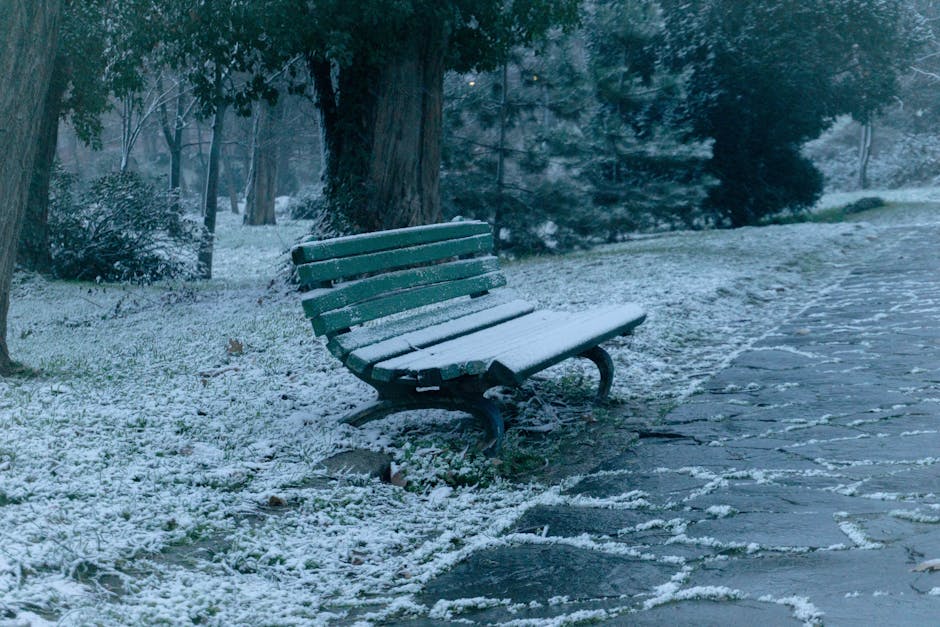 A green bench covered in snow in a serene Plovdiv park during winter's day.