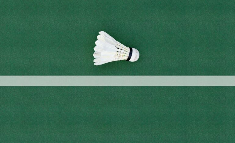 A shuttlecock lies on a green badminton court floor, highlighting sports simplicity.