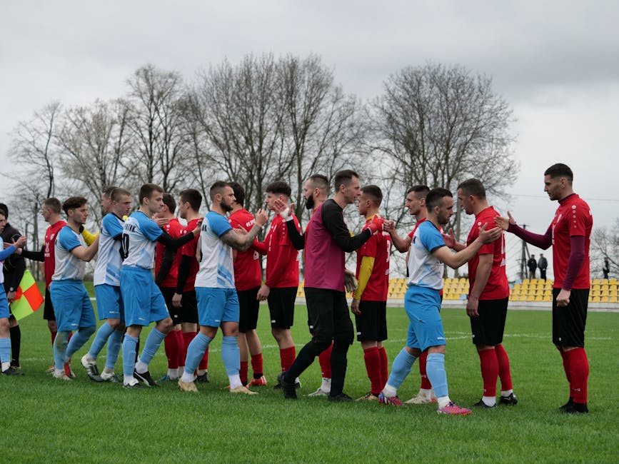 Football teams in red and blue kit shaking hands on a grassy pitch before the game.