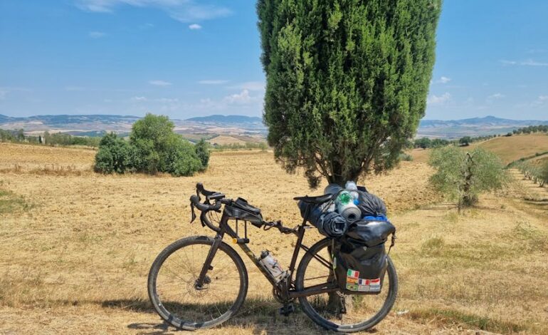Bicycle with gear resting under a tall tree in Tuscany's scenic landscape.