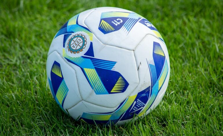 Close-up of a colorful soccer ball on vibrant green grass, perfect for sports themes.