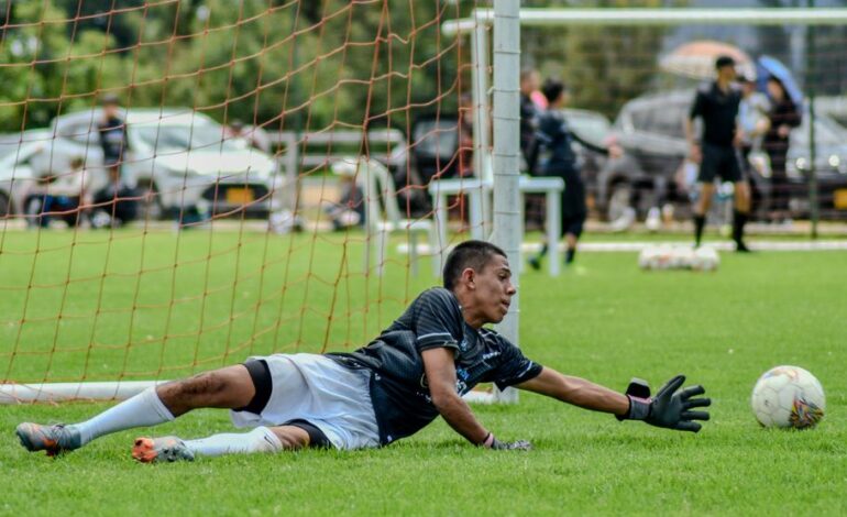 Goalkeeper diving towards the ball on a soccer field during a match.