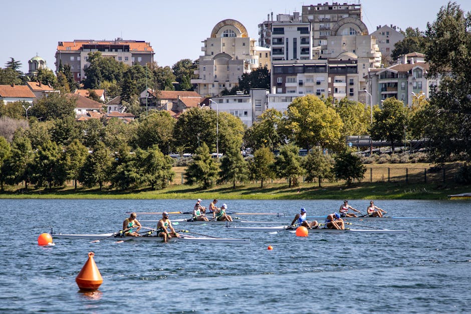 Rowing teams competing on a lake with cityscape and trees in the background.